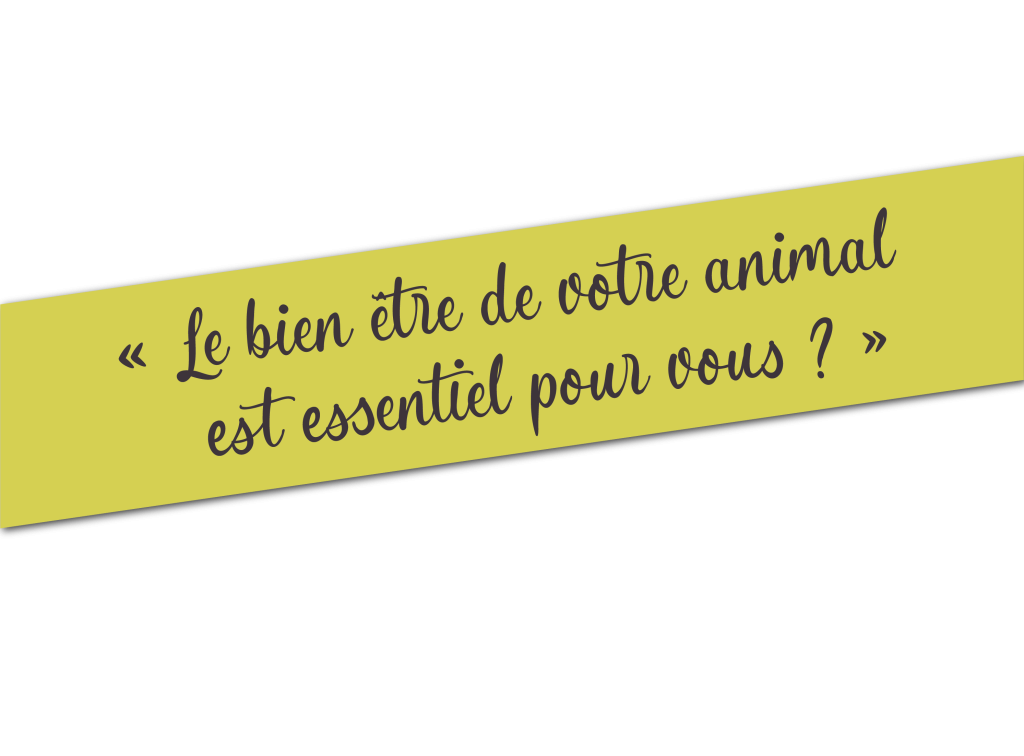 Bien être animal et garde animaux près de Doullens et Arras