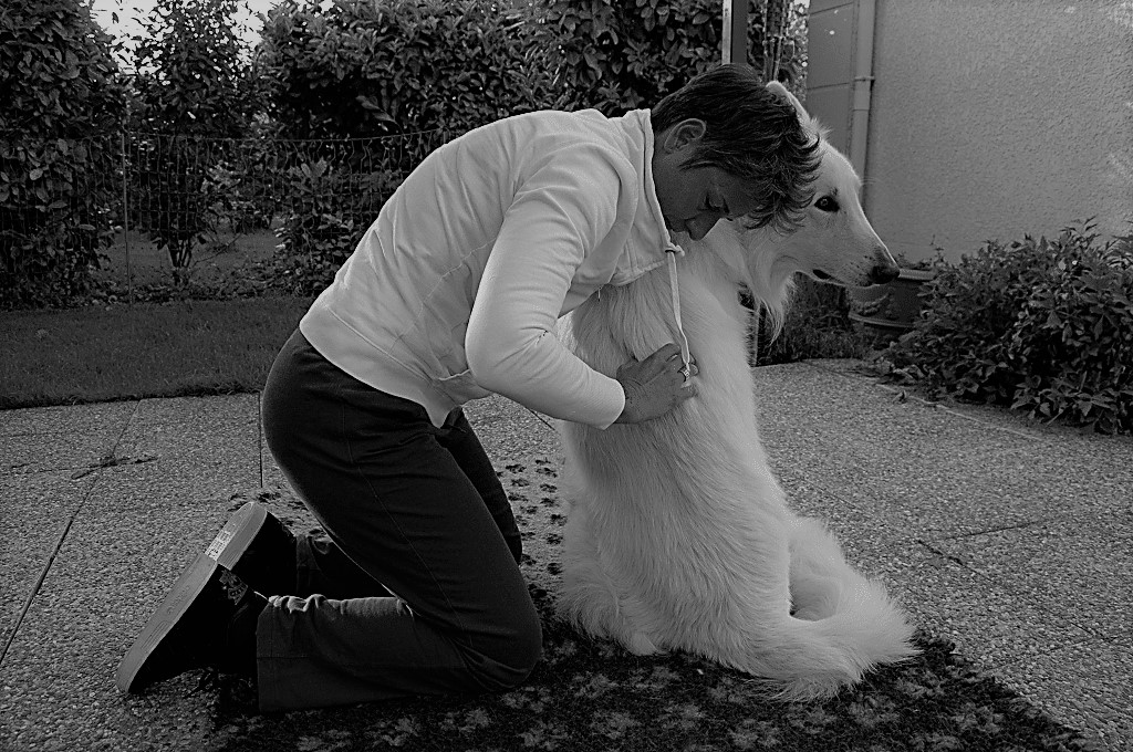 Promenade et massage de chien près de Doullens