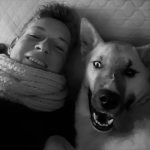 pet-sitter près de Doullens et Arras