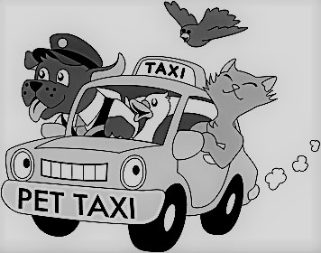 taxi animalier à Doullens